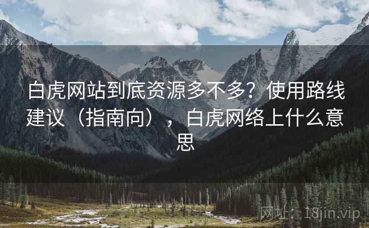 白虎网站到底资源多不多？使用路线建议（指南向），白虎网络上什么意思