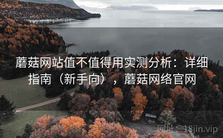 蘑菇网站值不值得用实测分析：详细指南（新手向），蘑菇网络官网