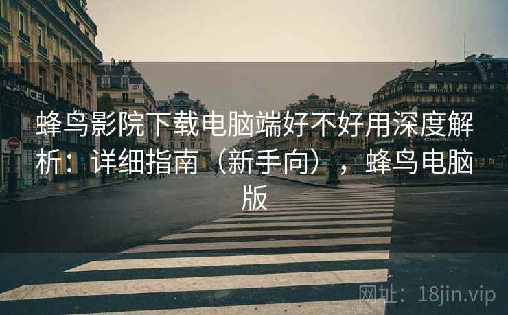 蜂鸟影院下载电脑端好不好用深度解析：详细指南（新手向），蜂鸟电脑版