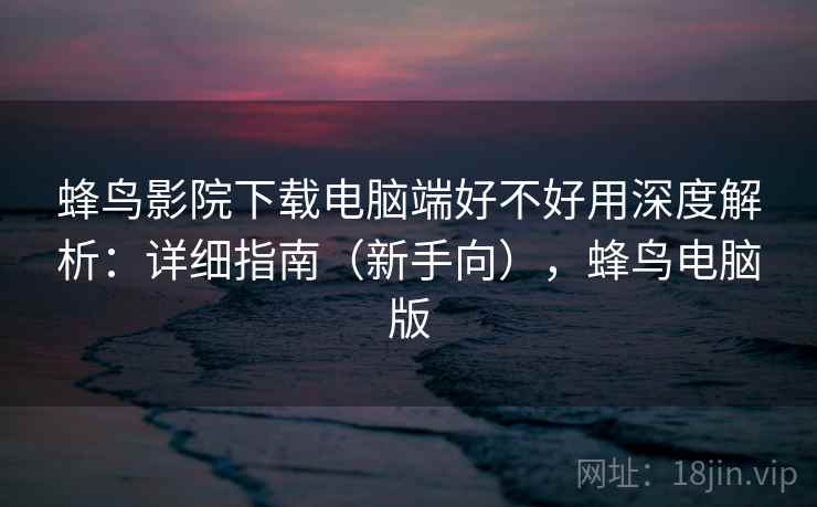 蜂鸟影院下载电脑端好不好用深度解析：详细指南（新手向），蜂鸟电脑版