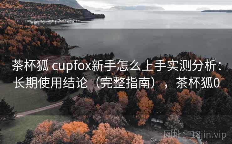 茶杯狐 cupfox新手怎么上手实测分析：长期使用结论（完整指南），茶杯狐0