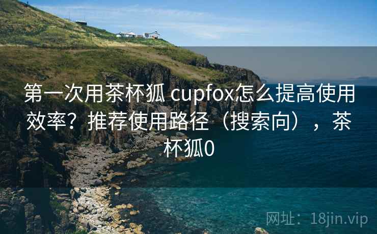 第一次用茶杯狐 cupfox怎么提高使用效率？推荐使用路径（搜索向），茶杯狐0