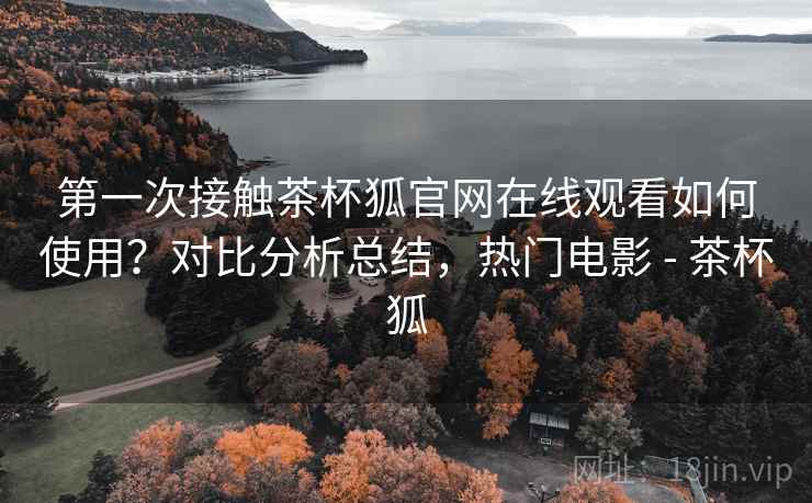 第一次接触茶杯狐官网在线观看如何使用？对比分析总结，热门电影 - 茶杯狐