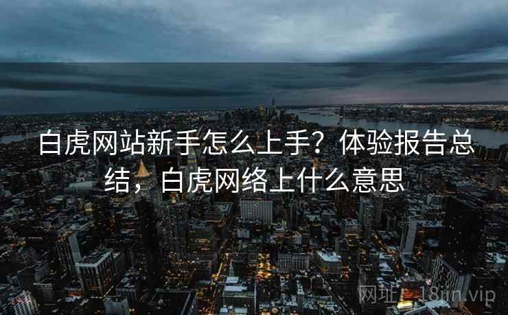 白虎网站新手怎么上手？体验报告总结，白虎网络上什么意思
