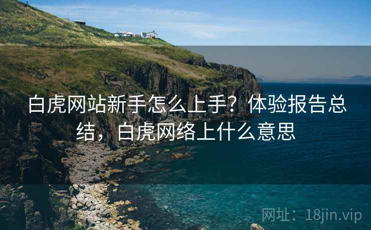白虎网站新手怎么上手？体验报告总结，白虎网络上什么意思