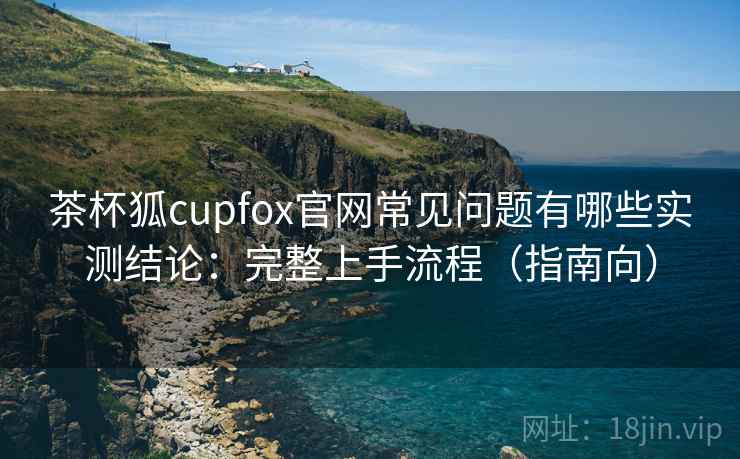 茶杯狐cupfox官网常见问题有哪些实测结论：完整上手流程（指南向）