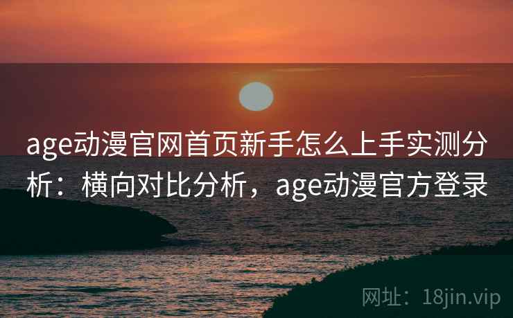 age动漫官网首页新手怎么上手实测分析：横向对比分析，age动漫官方登录