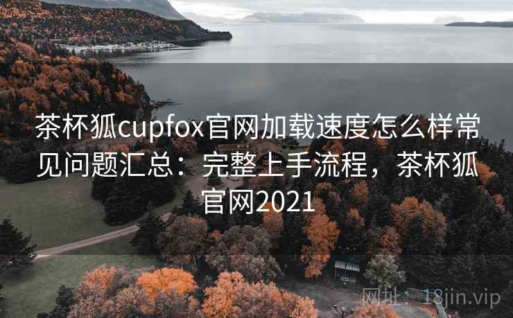 茶杯狐cupfox官网加载速度怎么样常见问题汇总：完整上手流程，茶杯狐官网2021