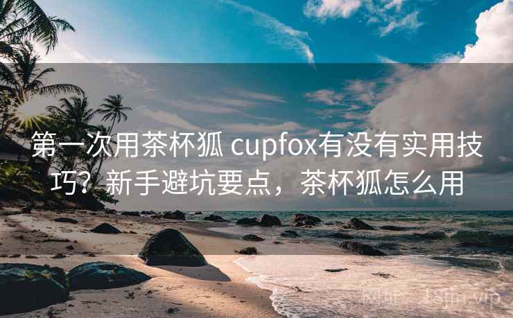 第一次用茶杯狐 cupfox有没有实用技巧？新手避坑要点，茶杯狐怎么用