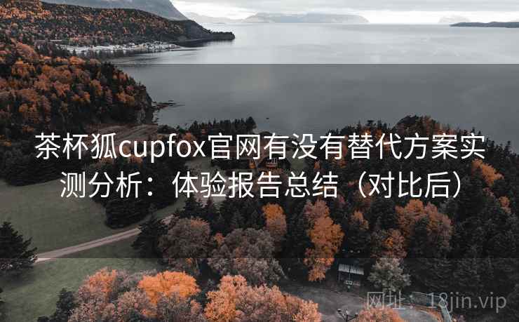 茶杯狐cupfox官网有没有替代方案实测分析：体验报告总结（对比后）